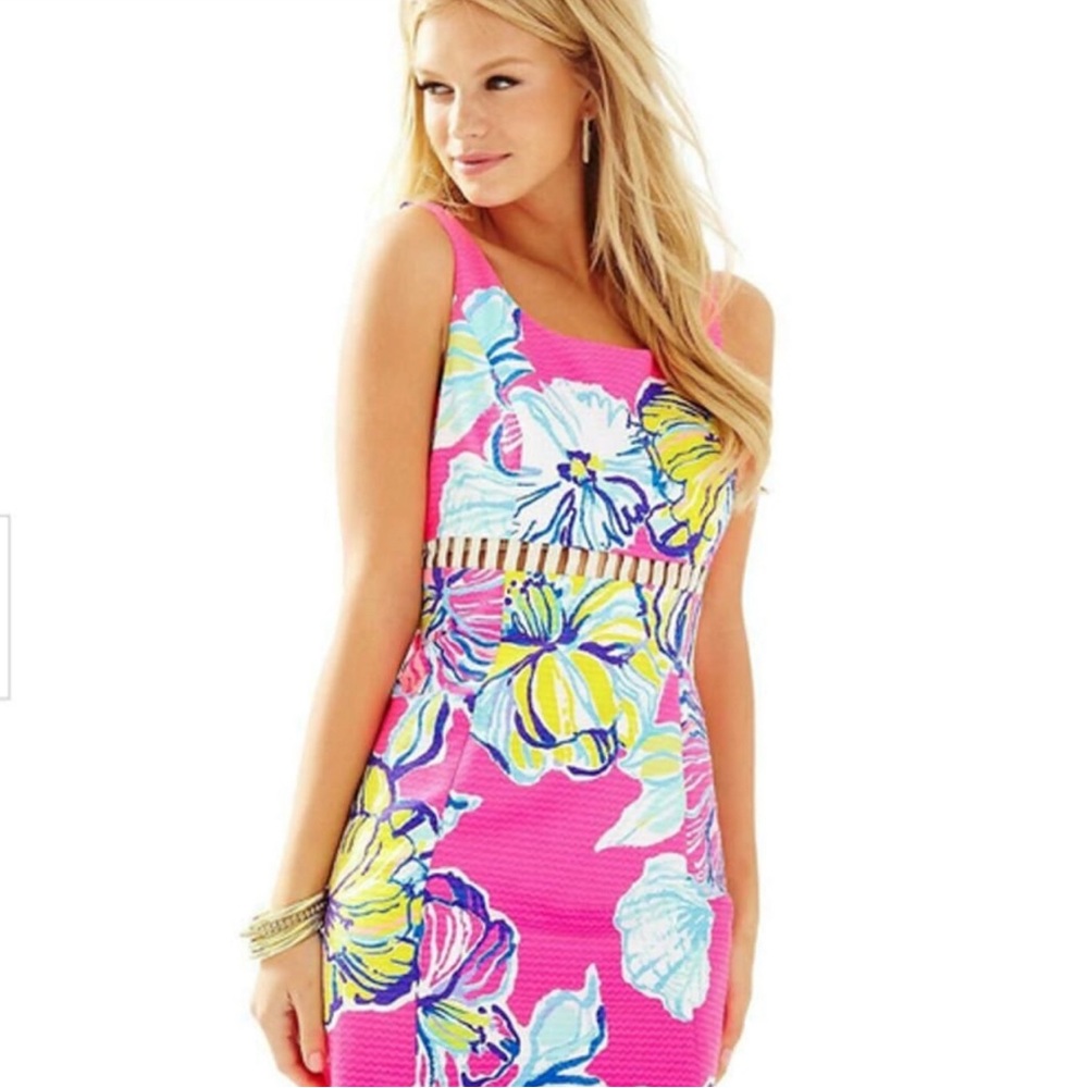 Lilly Pulitzer dress worn twice!